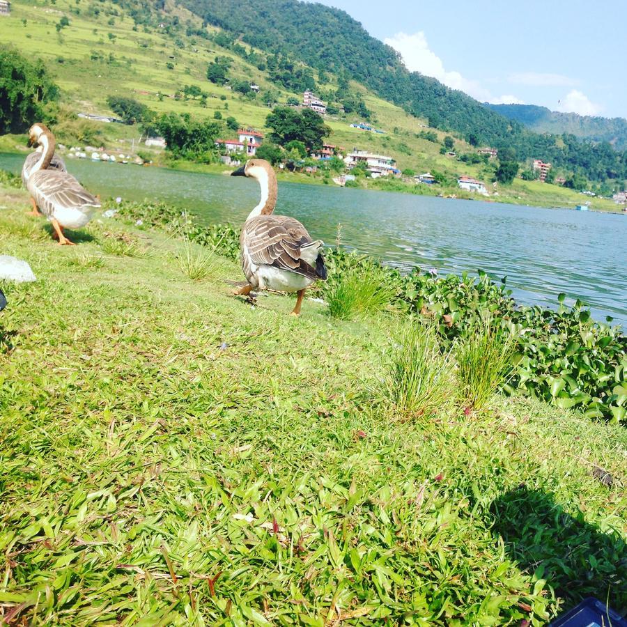 Sweet Dreams Hotel Pokhara Buitenkant foto